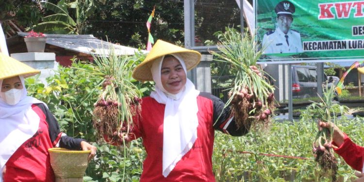 Program Bunda Menyapa Siap Jaga Ketahanan Pangan Di Kuningan