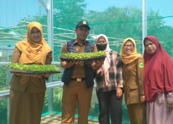 Melalui Program P2L, KWT Mulya Sari Siap Wujudkan Kemandirian Pangan