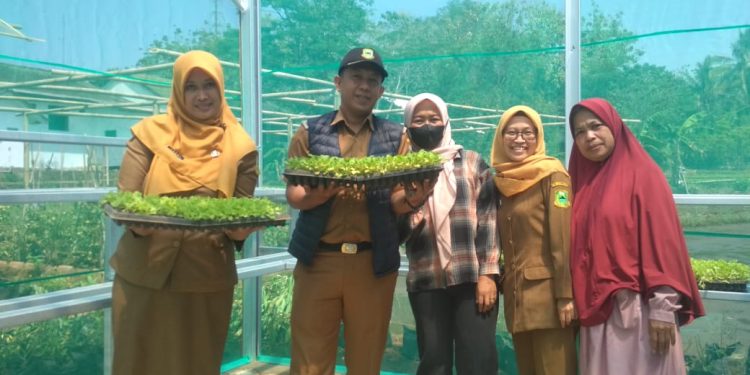 Melalui Program P2L, KWT Mulya Sari Siap Wujudkan Kemandirian Pangan