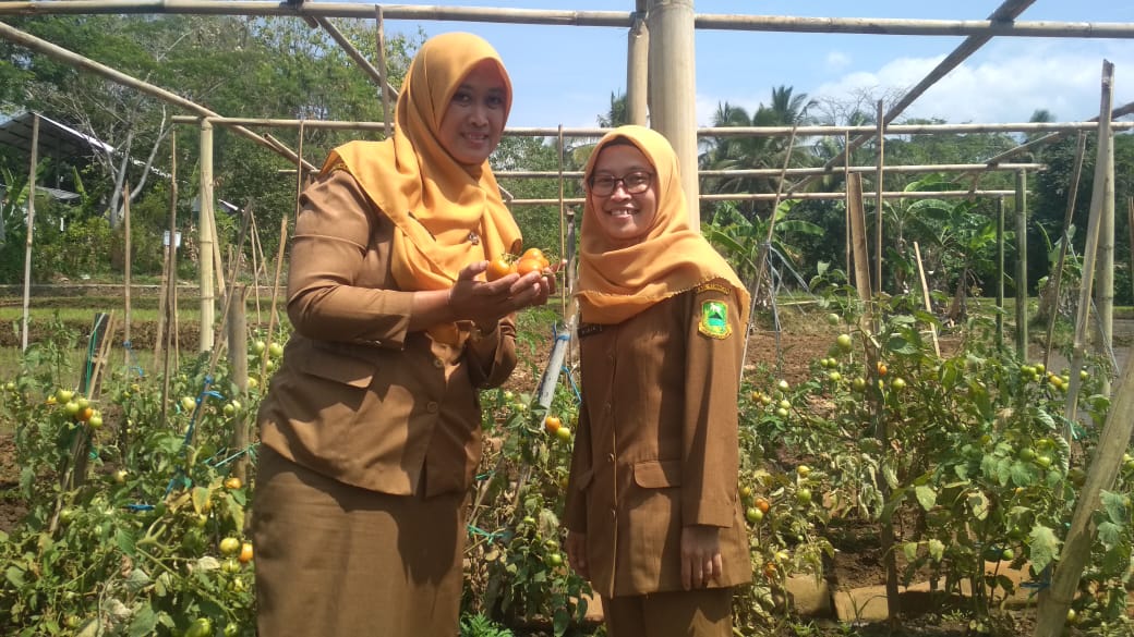 Melalui Program P2L, KWT Mulya Sari Siap Wujudkan Kemandirian Pangan