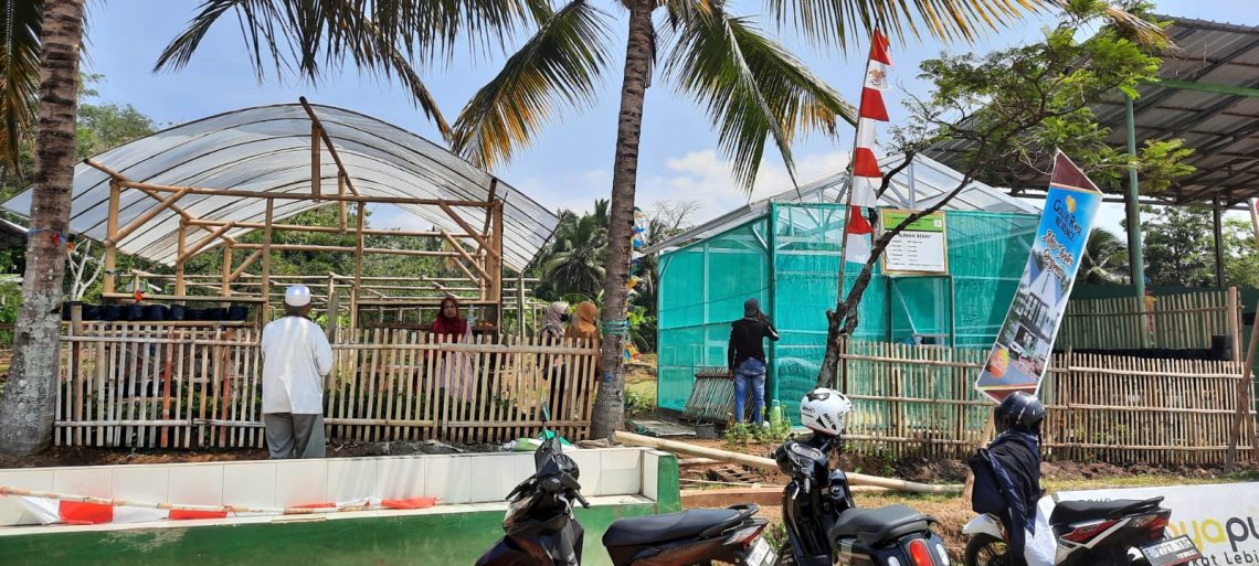 Melalui Program P2L, KWT Mulya Sari Siap Wujudkan Kemandirian Pangan