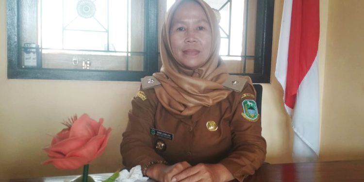 Cetak Sejarah, Nine Zabilah Kades Perempuan Pertama di Desa Cikahuripan