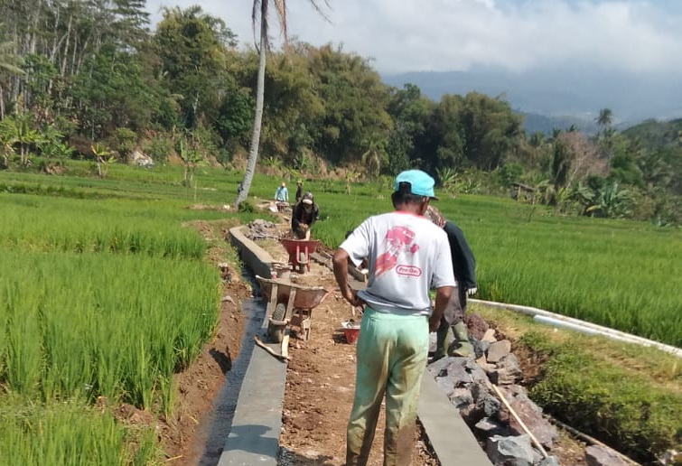 Manfaatkan Dana Desa, Pemdes Jambar Bangun TPT Jalan Usaha Tani