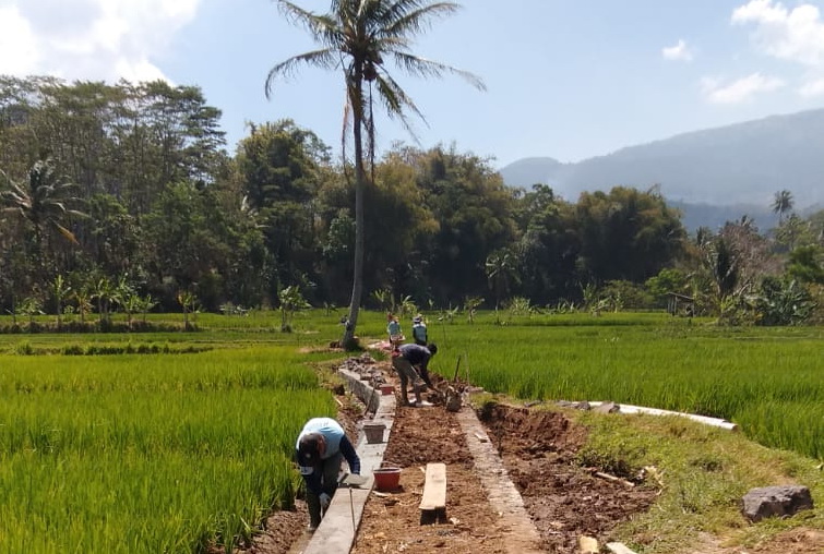 Manfaatkan Dana Desa, Pemdes Jambar Bangun TPT Jalan Usaha Tani