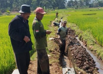 Manfaatkan Dana Desa, Pemdes Jambar Bangun TPT Jalan Usaha Tani