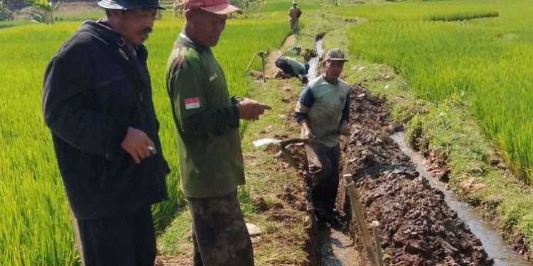Manfaatkan Dana Desa, Pemdes Jambar Bangun TPT Jalan Usaha Tani