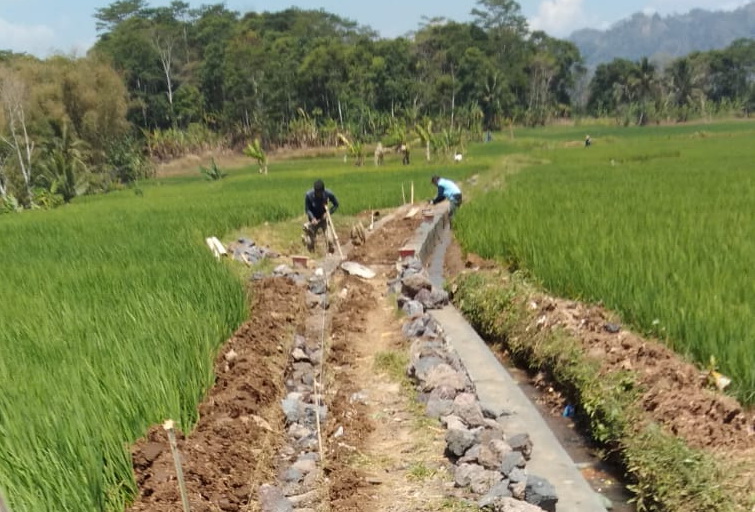 Manfaatkan Dana Desa, Pemdes Jambar Bangun TPT Jalan Usaha Tani