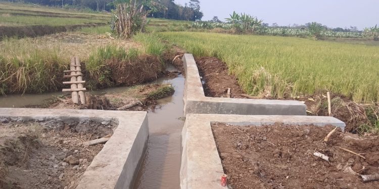 Dorong Program Ketahanan Pangan, Pemdes Widarasari Bangun Saluran Irigasi