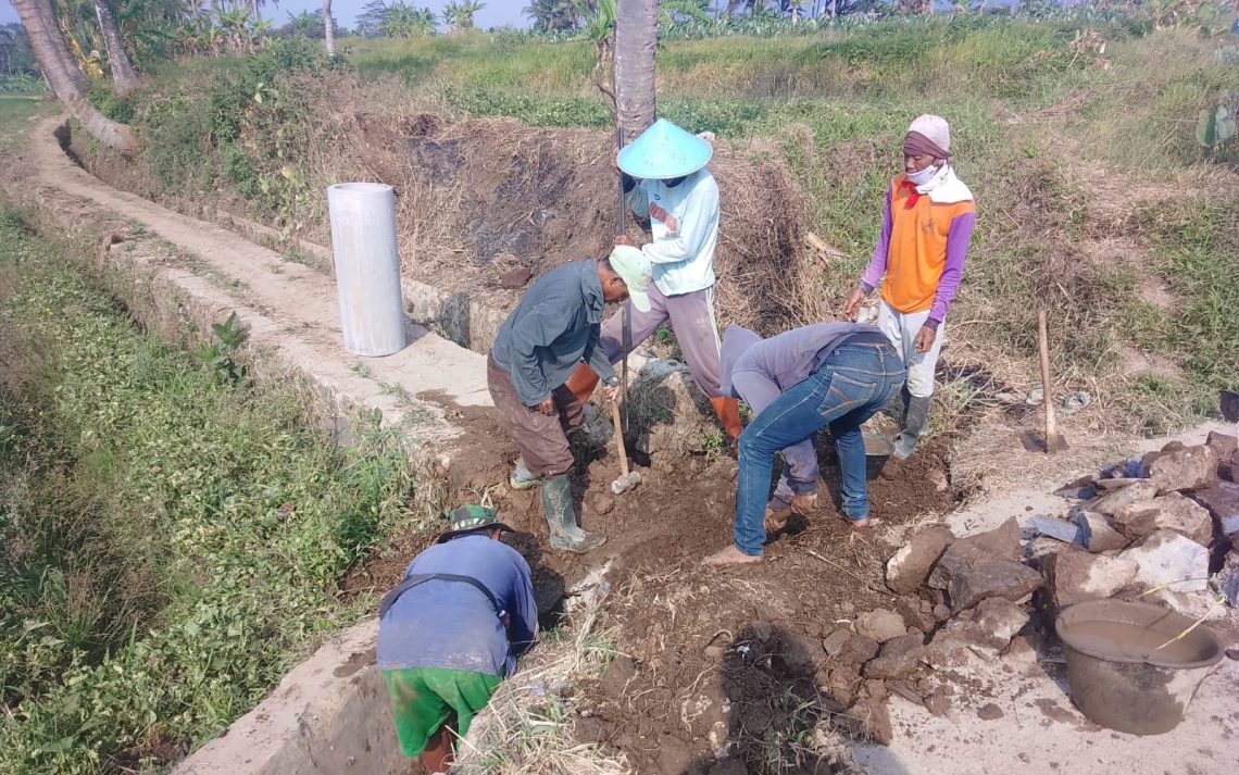 Dorong Program Ketahanan Pangan, Pemdes Widarasari Bangun Saluran Irigasi