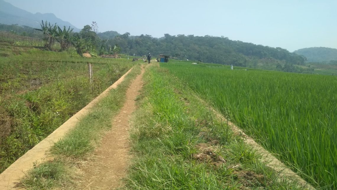 Lengkapi Infrastruktur Pertanian, Pemdes Cikadu Bangun TPT Irigasi