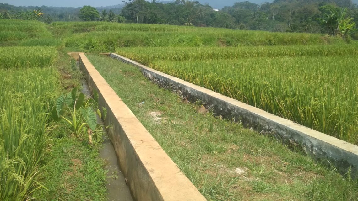 Lengkapi Infrastruktur Pertanian, Pemdes Cikadu Bangun TPT Irigasi