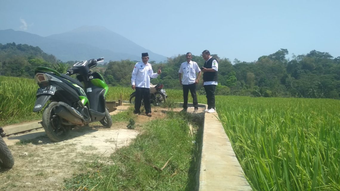 Lengkapi Infrastruktur Pertanian, Pemdes Cikadu Bangun TPT Irigasi