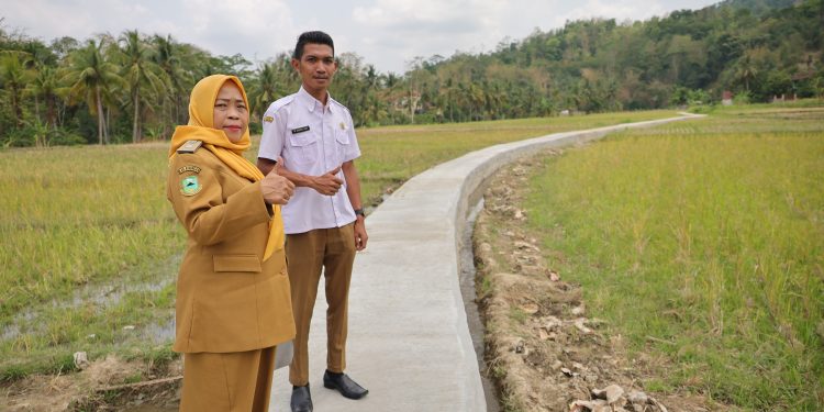 Pemdes Gewok Alokasikan Tambahan DD Pada Pembangunan Irigasi dan JUT