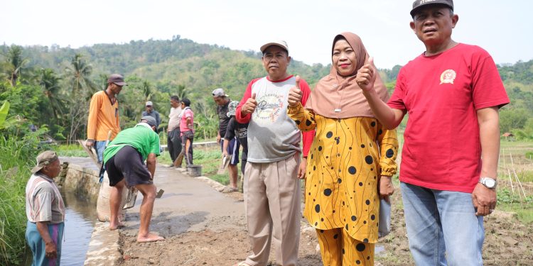 Tanggulangi Kekeringan, Pemdes Gewok Lanjutkan Pembangunan Sarana Pertanian