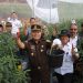 Panen Cabai Serentak dan Gelar Pangan Murah: Sinergi Membangun Kemandirian Pangan dan Perekonomian.