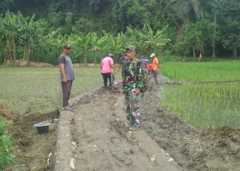 Dukung Pertanian, Pemdes Cikahuripan Bangun Jalan Usaha Tani