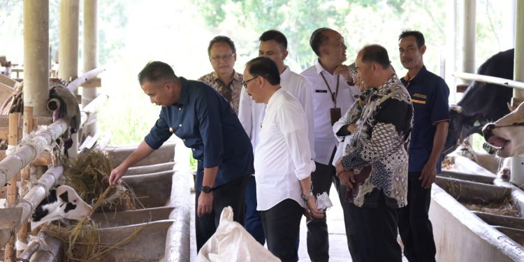 Resmikan PLTS – Biogas di Peternakan KSU Nugraha Jaya Cigugur, Pj Gubernur : Pertama Kali di Jawa Barat !