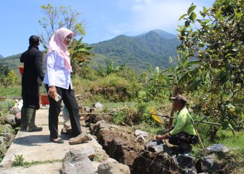 Dukung Pertanian, Pemdes Pajambon Bangun Saluran Irigasi