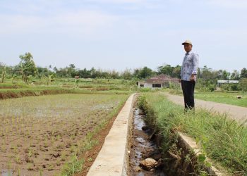 Pemdes Widarasari Bangun Saluran Irigasi untuk Tingkatkan Produktivitas Pertanian