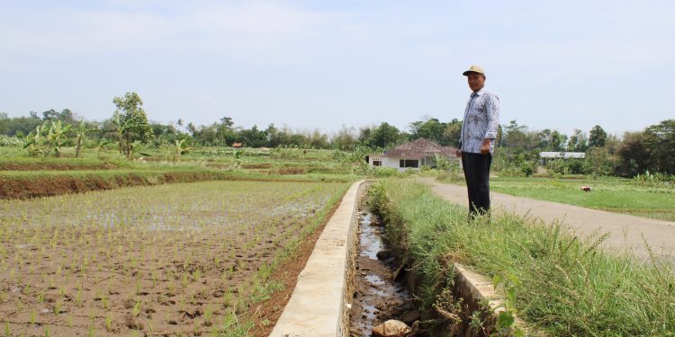 Pemdes Widarasari Bangun Saluran Irigasi untuk Tingkatkan Produktivitas Pertanian