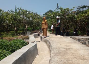 Tingkatkan Produktivitas Pertanian, Pemdes Pajambon Tambah Saluran Irigasi