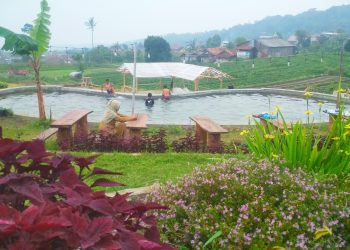 Agrowisata Pakuwon Tambah Fasilitas Baru, Tingkatkan Kenyamanan Pengunjung