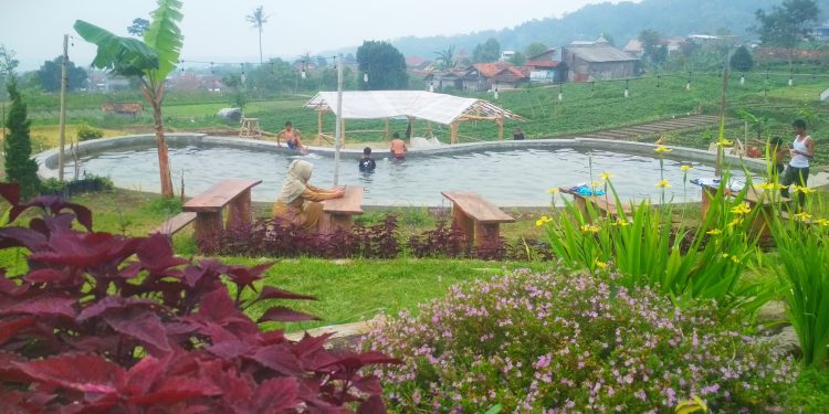 Agrowisata Pakuwon Tambah Fasilitas Baru, Tingkatkan Kenyamanan Pengunjung