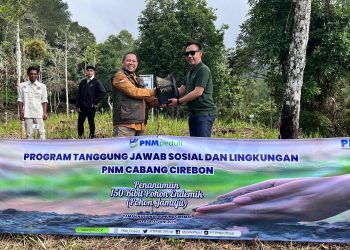 PNM Hijaukan Lereng Gunung Ciremai, Tanam 150 Pohon Endemik Jamuju