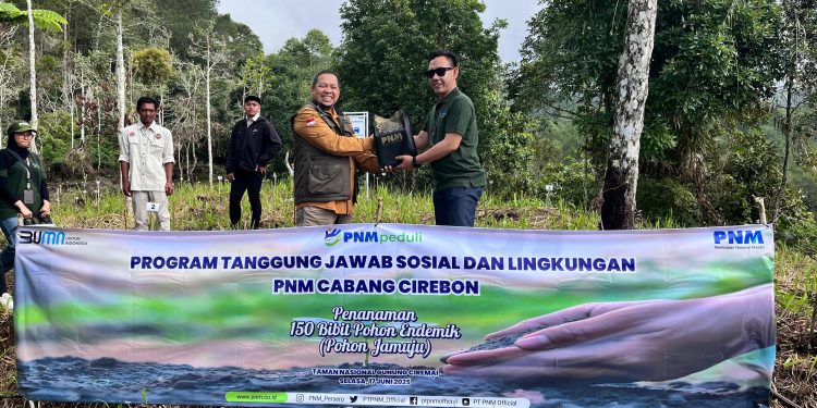 PNM Hijaukan Lereng Gunung Ciremai, Tanam 150 Pohon Endemik Jamuju