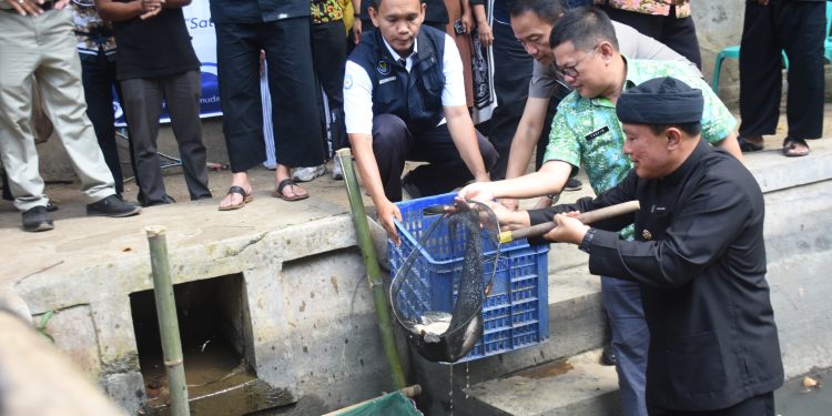 Dari 7500 Benih Ikan Jadi 2 kwintal ; Panen Perdana Pasukan Paus