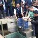 Dari 7500 Benih Ikan Jadi 2 kwintal ; Panen Perdana Pasukan Paus