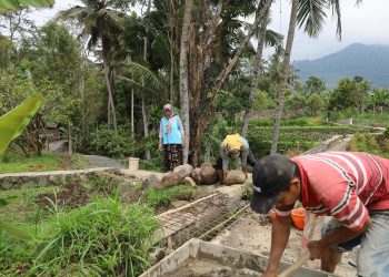 Pembangunan Jalan Lingkungan di Desa Pajambon: Wujud Nyata Peningkatan Infrastruktur Desa