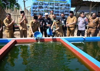 Optimalkan PAD Desa, BUMDes Motekar Desa Partawangunan Ternak Ikan Lele