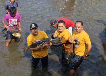 Bupati Dian Berbaur Tangkap Ikan di Tradisi “Ngobeng Lauk” Situ Cimalongpong