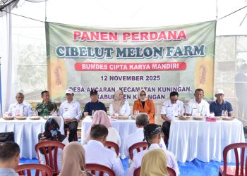 Panen Perdana di Cibelut Melon Farm Desa Ancaran, Wabup; wujud inovasi pertanian dan penguatan ekonomi masyarakat desa