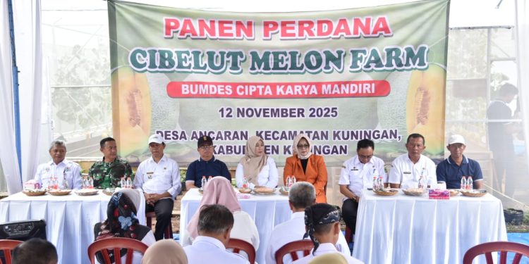 Panen Perdana di Cibelut Melon Farm Desa Ancaran, Wabup; wujud inovasi pertanian dan penguatan ekonomi masyarakat desa
