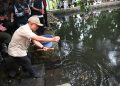 Lestarikan Ekosistem Mata Air, Bupati Kuningan Tebar Ratusan Benih Ikan Dewa di Situs Ki Buyut Sangkan